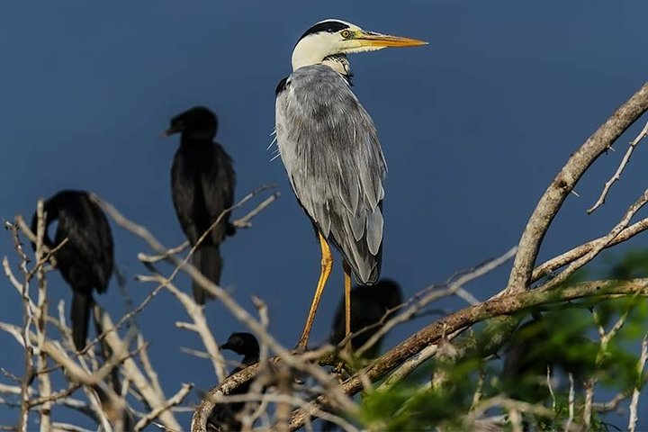 Anawilundawa Sanctuary